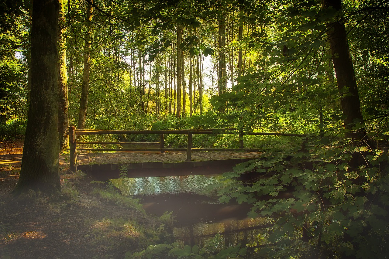 découvrez comment la transition écologique transforme nos modes de vie, favorise un développement durable et préserve notre planète. explorez des solutions innovantes pour un avenir respectueux de l'environnement.