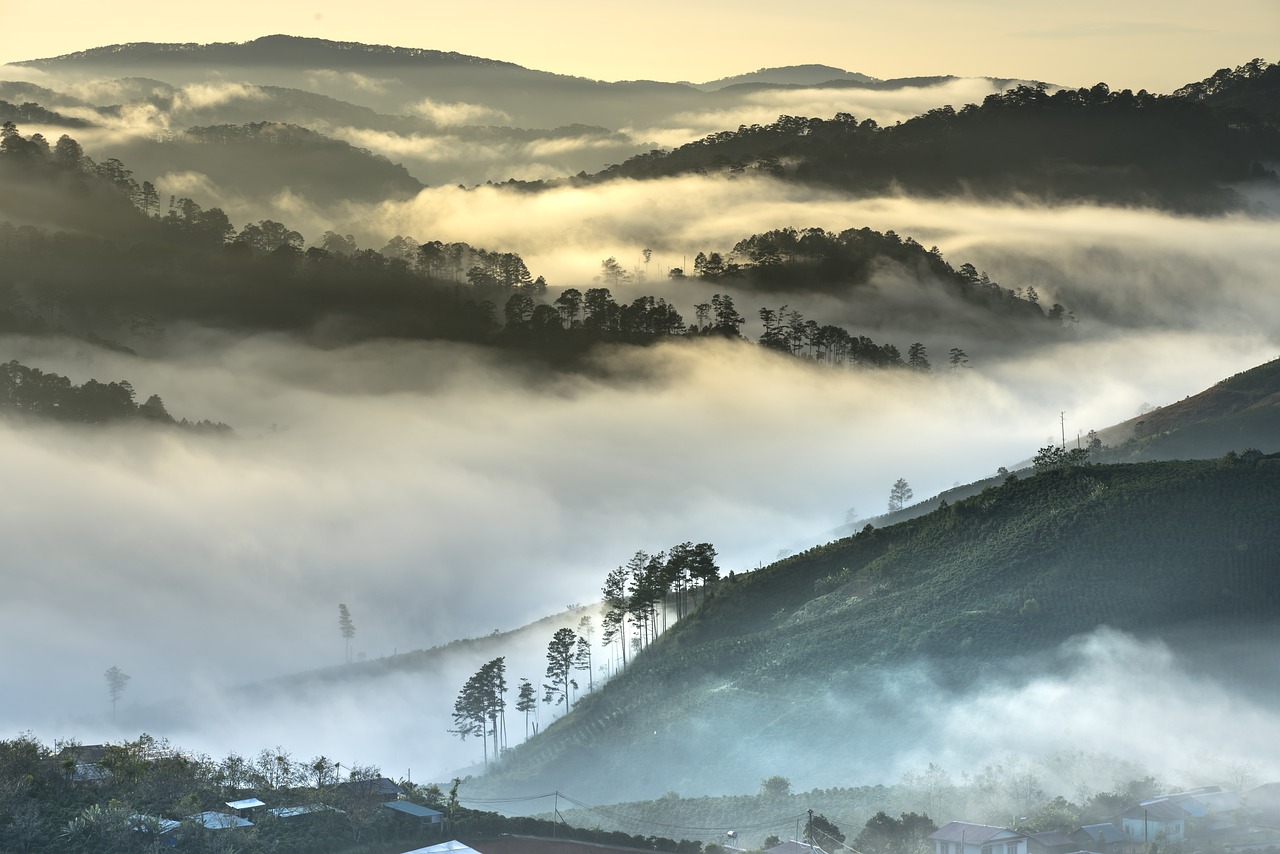 découvrez l'importance de la protection de l'environnement et les actions que chacun peut entreprendre pour préserver notre planète. explorez des solutions durables et des initiatives éco-responsables pour un avenir meilleur.