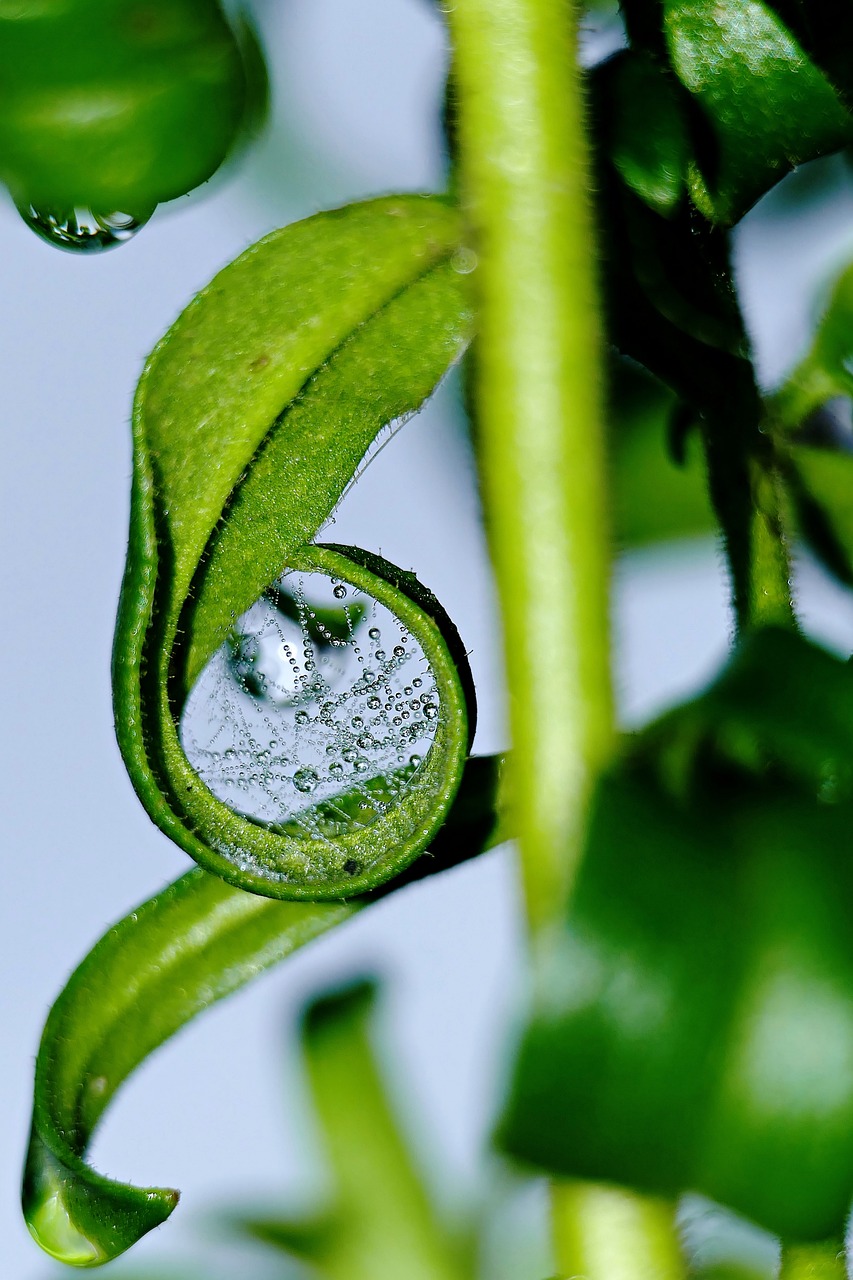 découvrez l'importance de protéger notre environnement et les actions essentielles pour préserver notre planète. explorez les défis écologiques actuels et les solutions durables qui peuvent faire la différence.