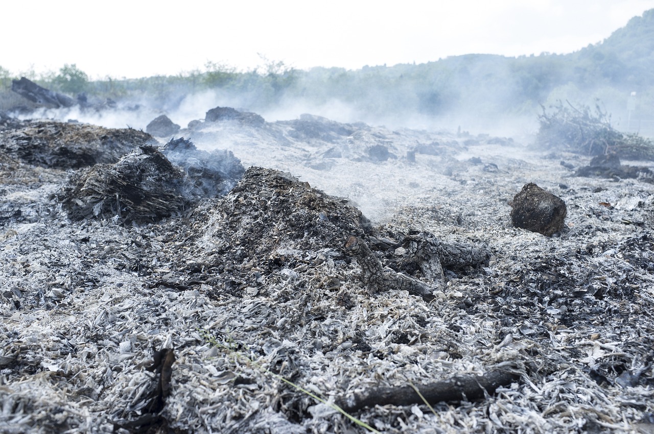 découvrez tout ce que vous devez savoir sur les combustibles fossiles : leur définition, leur impact environnemental et les alternatives durables pour un avenir énergétique responsable.