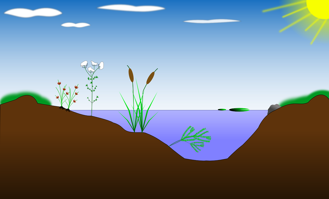 découvrez l'importance des habitats naturels, leur rôle crucial dans la biodiversité et leur contribution à l'équilibre de nos écosystèmes. explorez les différents types d'environnements naturels et apprenez comment leur préservation est essentielle pour la vie sur terre.