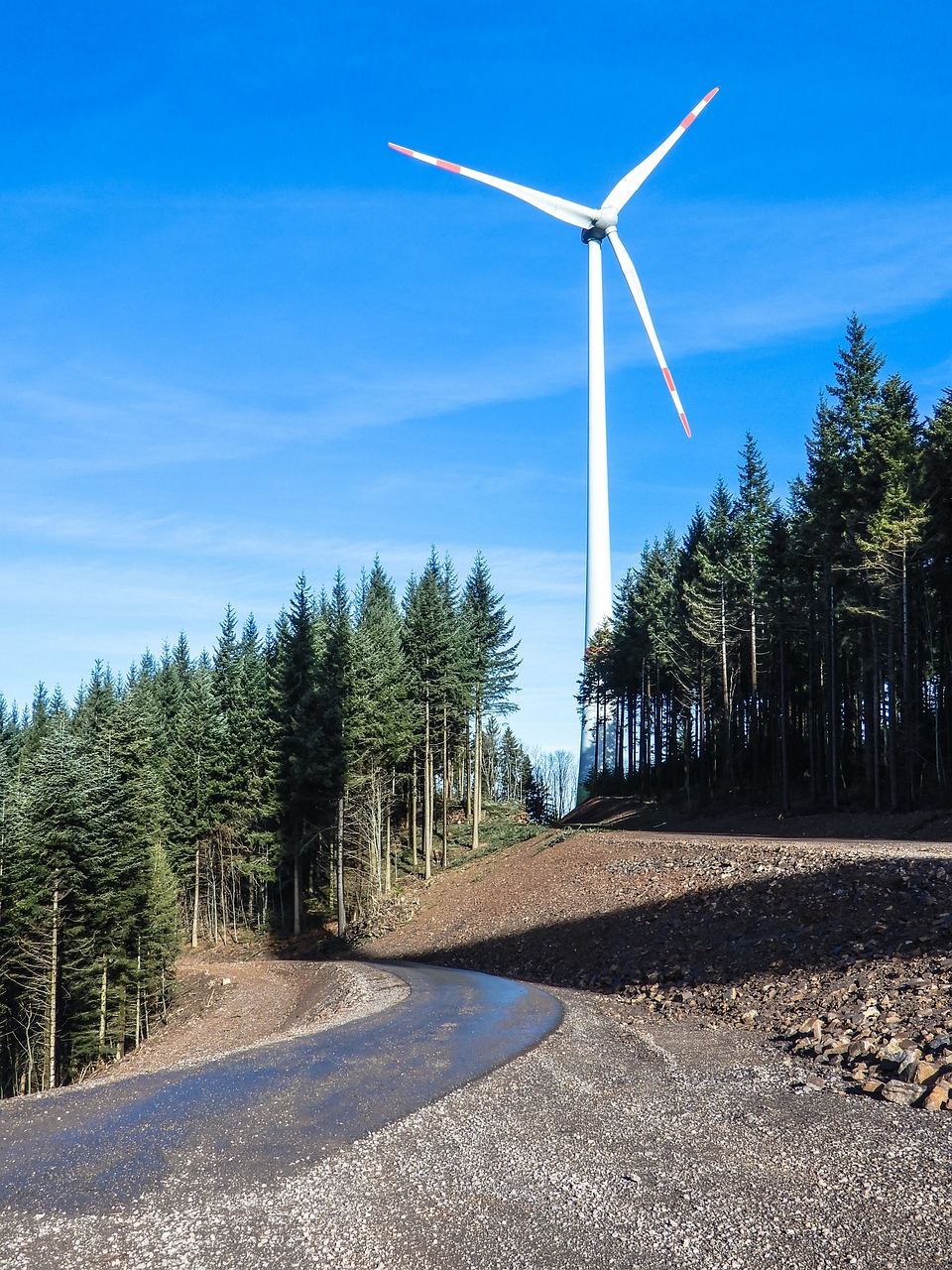 découvrez l'importance des ressources naturelles pour notre planète, leur rôle essentiel dans l'économie et les défis de leur préservation face aux enjeux environnementaux actuels.