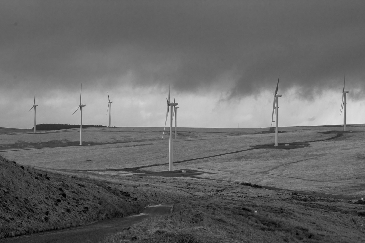 découvrez comment les ressources naturelles façonnent notre environnement et soutiennent l'économie mondiale. apprenez l'importance de la préservation et de la gestion durable de ces précieuses richesses.