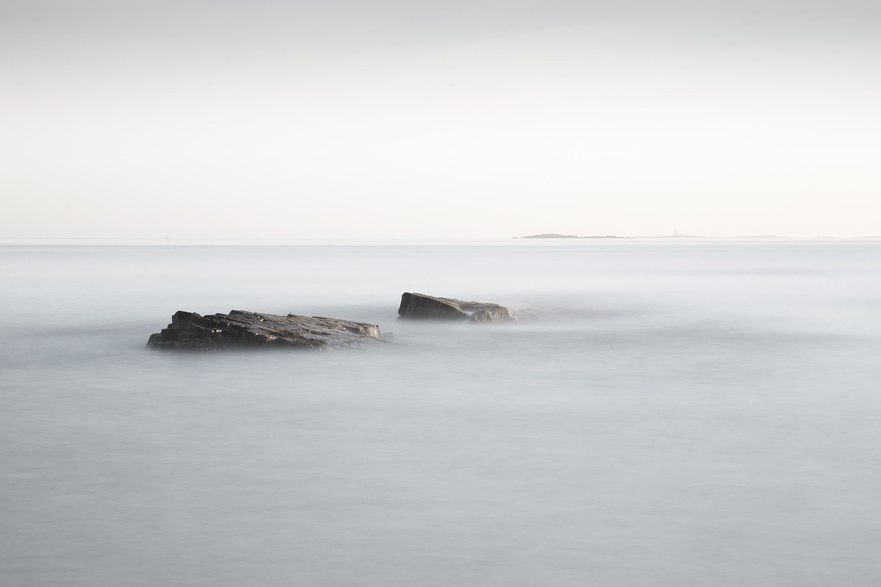 découvrez l'incroyable diversité des océans, leur rôle vital dans l'équilibre de notre planète, et les merveilles marines qui y habitent. plongez dans un monde sous-marin fascinant où la beauté et la biodiversité se rencontrent.