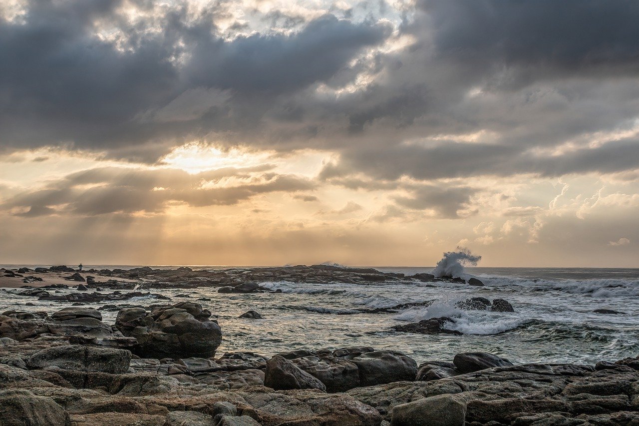 découvrez les merveilles des océans, explorez leur biodiversité fascinante, les écosystèmes marins, et les défis environnementaux auxquels ils font face. plongez dans l'univers des profondeurs et apprenez l'importance de préserver ces précieuses ressources naturelles.