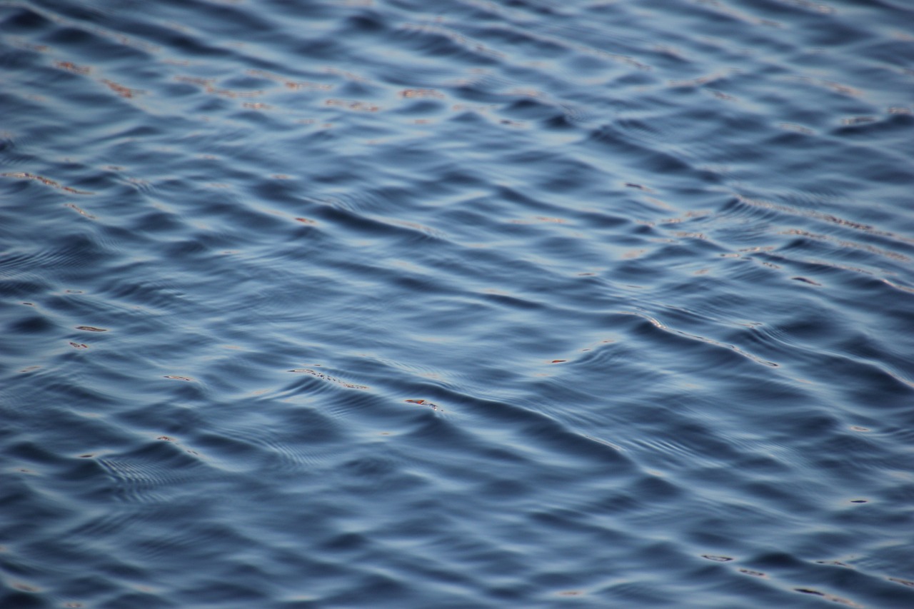 découvrez l'importance de l'eau dans notre quotidien, ses bienfaits pour la santé, et les enjeux environnementaux qui l'entourent. apprenez à préserver cette précieuse ressource et à l'intégrer de manière optimale dans votre vie.