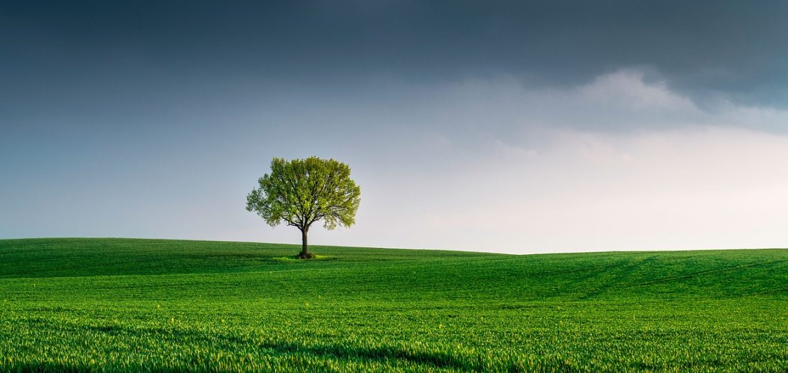 découvrez l'importance de la protection de l'environnement, les enjeux majeurs liés au changement climatique et les actions durables à mettre en œuvre pour préserver notre planète pour les générations futures.