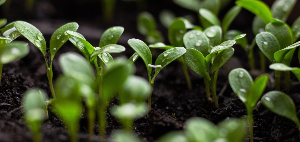 découvrez comment l'éducation durable façonne un avenir meilleur en intégrant des pratiques respectueuses de l'environnement et des valeurs sociales, tout en préparant les générations futures à relever les défis mondiaux.