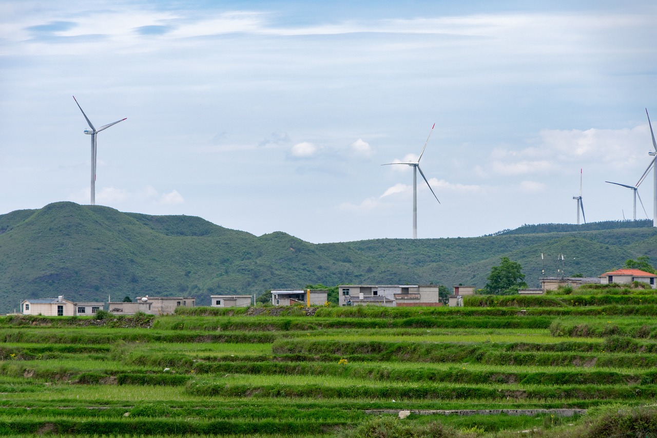 découvrez les enjeux du développement durable, une approche qui vise à concilier croissance économique, protection de l'environnement et justice sociale pour un avenir viable. explorez les pratiques, les initiatives et les solutions innovantes qui permettent de bâtir un monde plus équilibré.