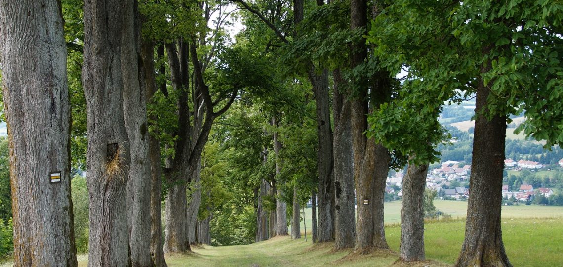 découvrez notre marque éthique qui allie qualité, durabilité et respect de l'environnement. engagez-vous pour un avenir meilleur tout en profitant de produits responsables et éco-conçus.