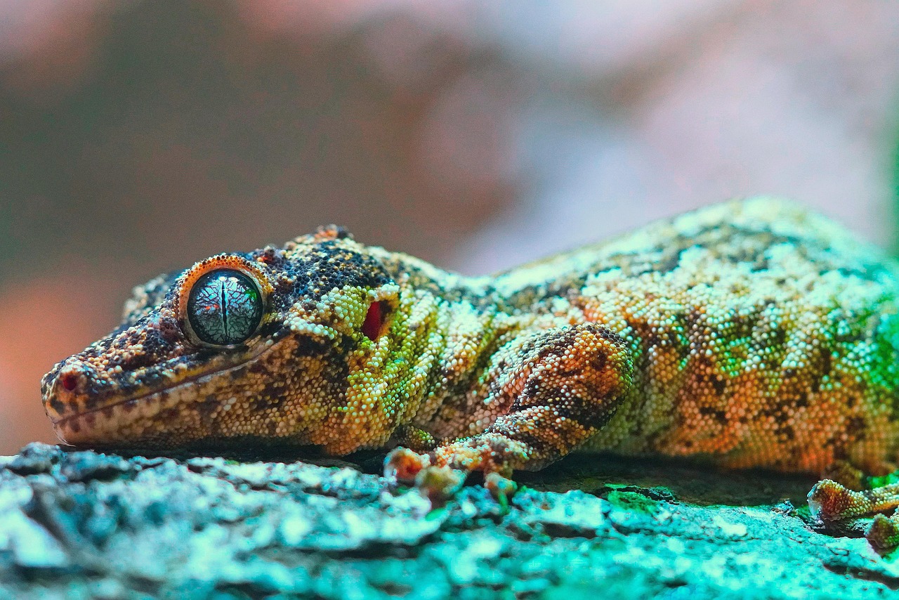 découvrez les enjeux cruciaux du collapse de la biodiversité, ses causes profondes et ses conséquences sur notre planète. explorez comment l'effondrement des écosystèmes affecte la vie sur terre et ce que nous pouvons faire pour préserver notre environnement.