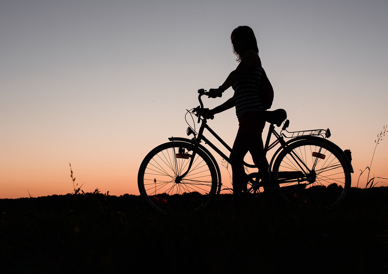 découvrez l'univers du cyclisme : conseils, astuces, itinéraires et équipements pour tous les passionnés de vélo, que vous soyez débutant ou expert. rejoignez notre communauté et vivez votre passion à pleines pédales !