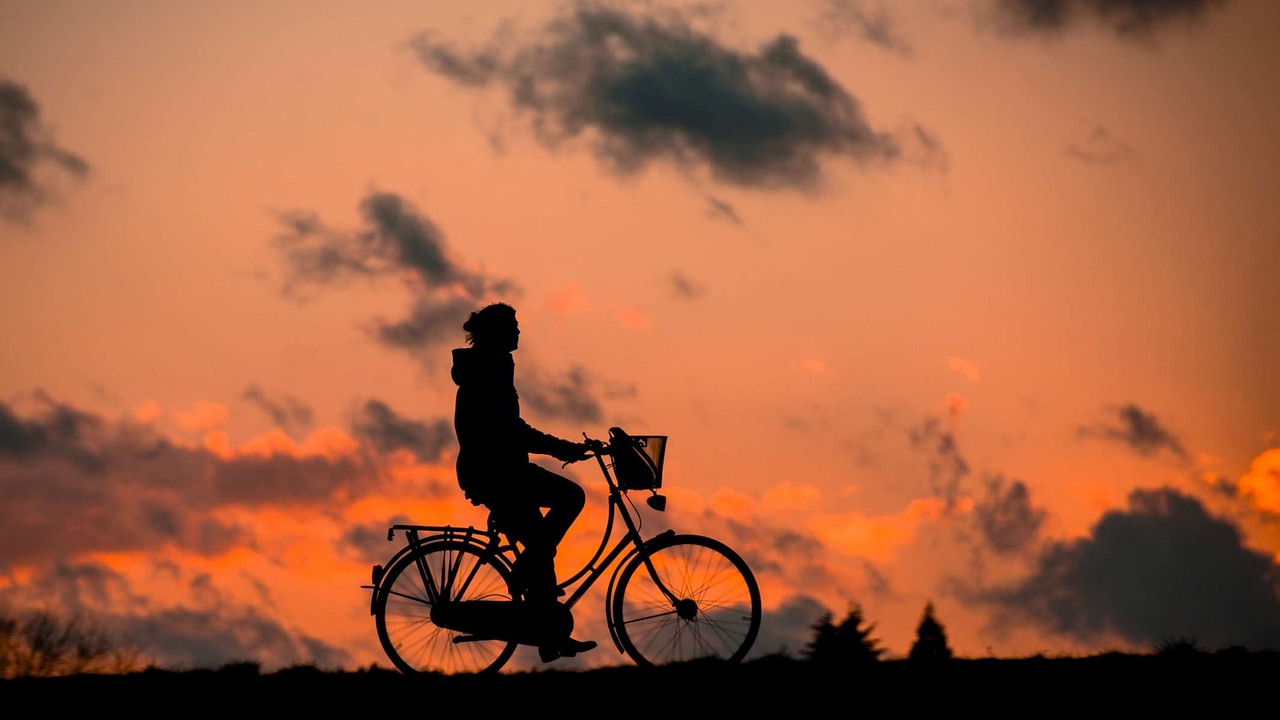 découvrez l'univers du cyclisme : conseils, itinéraires, équipements et bien plus pour tous les passionnés de vélo. prenez soin de votre santé tout en explorant de nouveaux horizons sur deux roues.