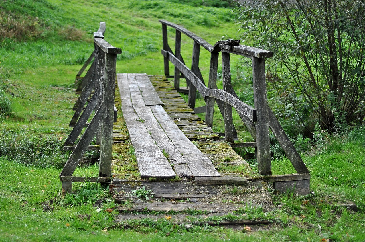 découvrez comment la transition écologique transforme notre société, favorise le développement durable et guide les initiatives pour un avenir respectueux de l'environnement.