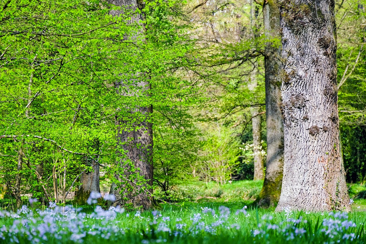 découvrez le monde fascinant de l'écologie, une science qui étudie les relations entre les êtres vivants et leur environnement. explorez les enjeux de la biodiversité, de la conservation et des écosystèmes pour mieux comprendre notre impact sur la planète.