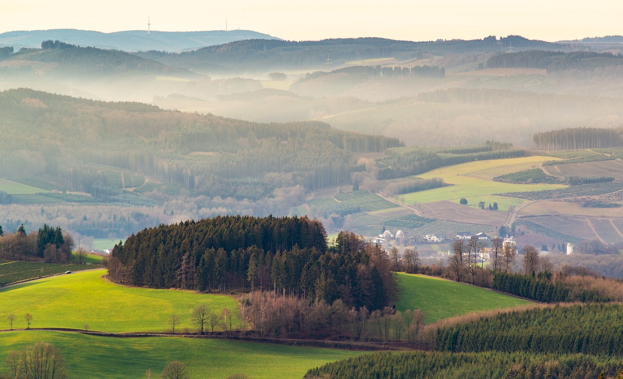 découvrez l'importance de la préservation de l'environnement, les enjeux écologiques actuels et les actions que chacun peut entreprendre pour contribuer à un avenir durable.