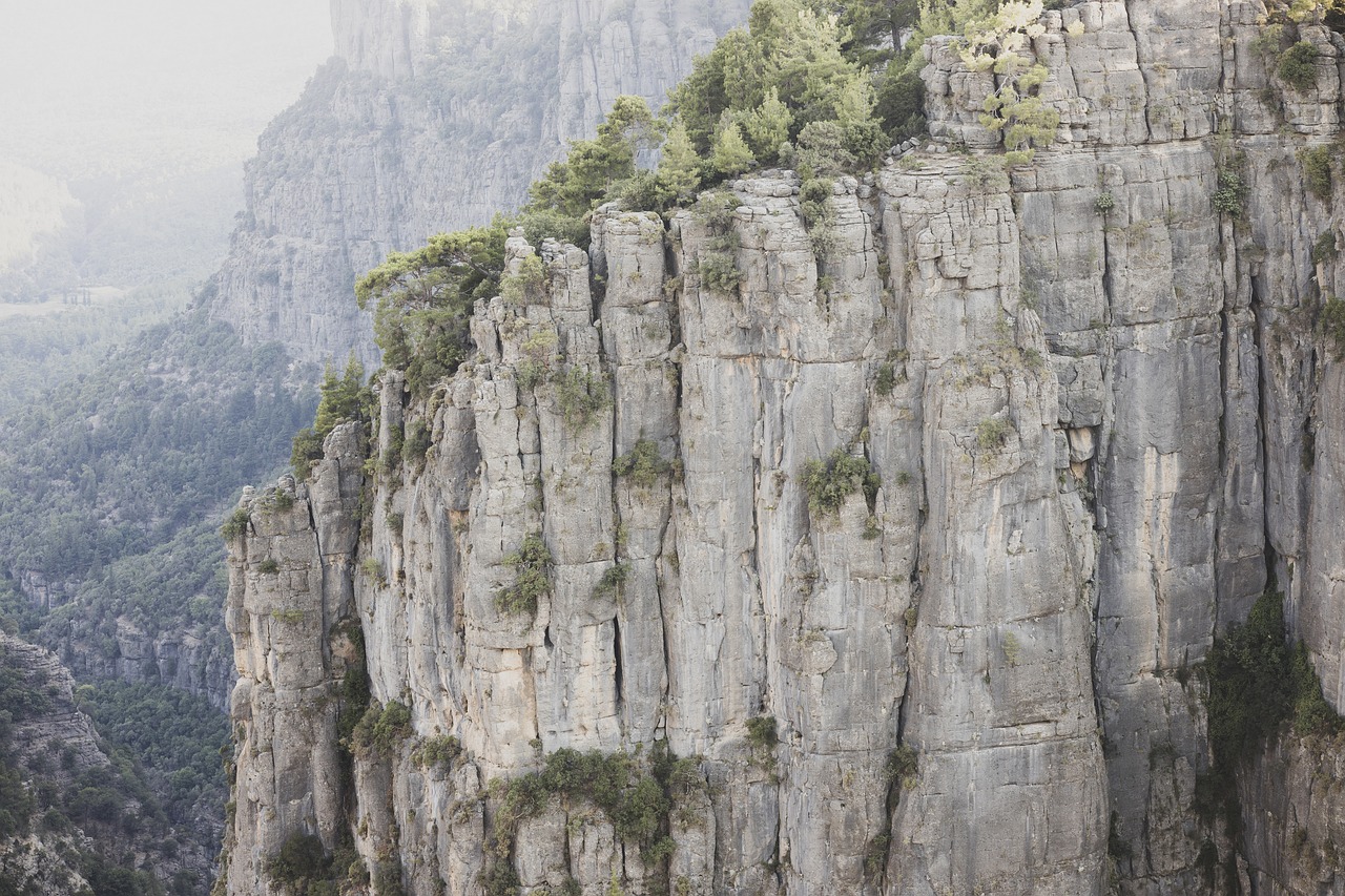 découvrez les réformes environnementales qui façonnent un avenir durable. explorez les initiatives visant à protéger notre planète, réduire l'empreinte carbone et promouvoir des pratiques écologiques pour un monde meilleur.