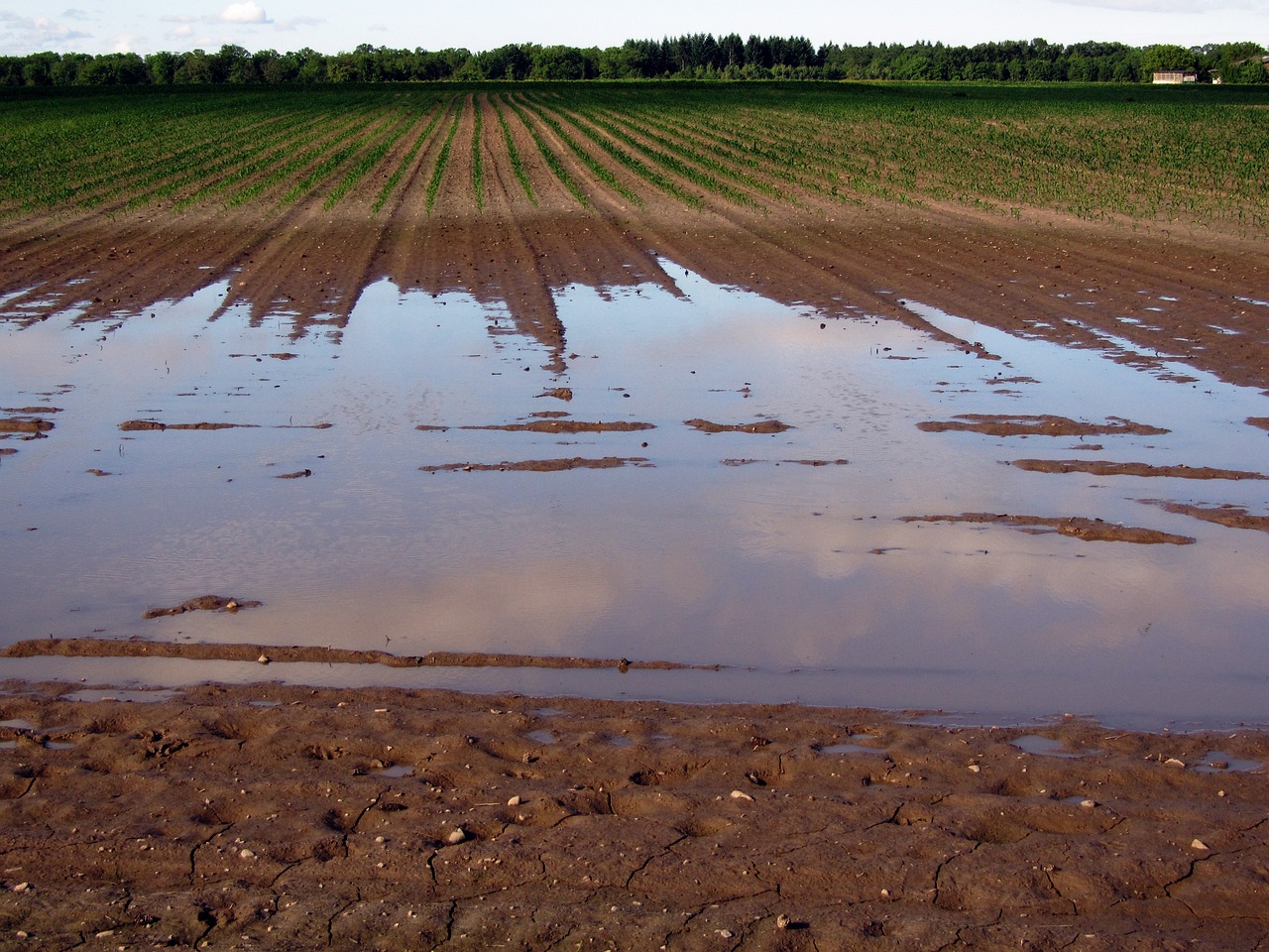 découvrez les impacts dévastateurs des inondations, leurs causes et comment s'y préparer. informez-vous sur les mesures de prévention et les stratégies d'intervention pour minimiser les dégâts et protéger votre communauté.