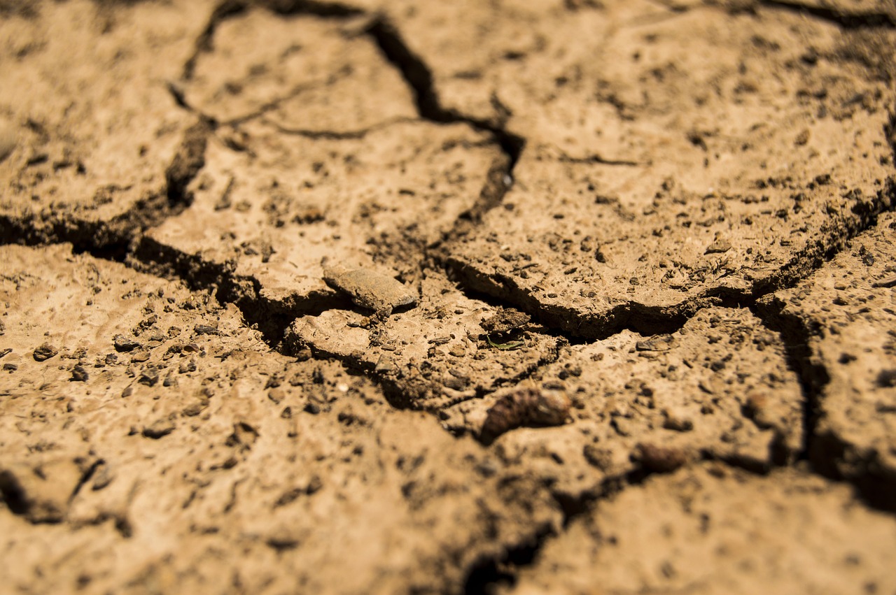 découvrez l'importance de la conservation des terres pour protéger notre environnement, préserver la biodiversité et promouvoir un développement durable. rejoignez le mouvement pour un avenir plus vert.