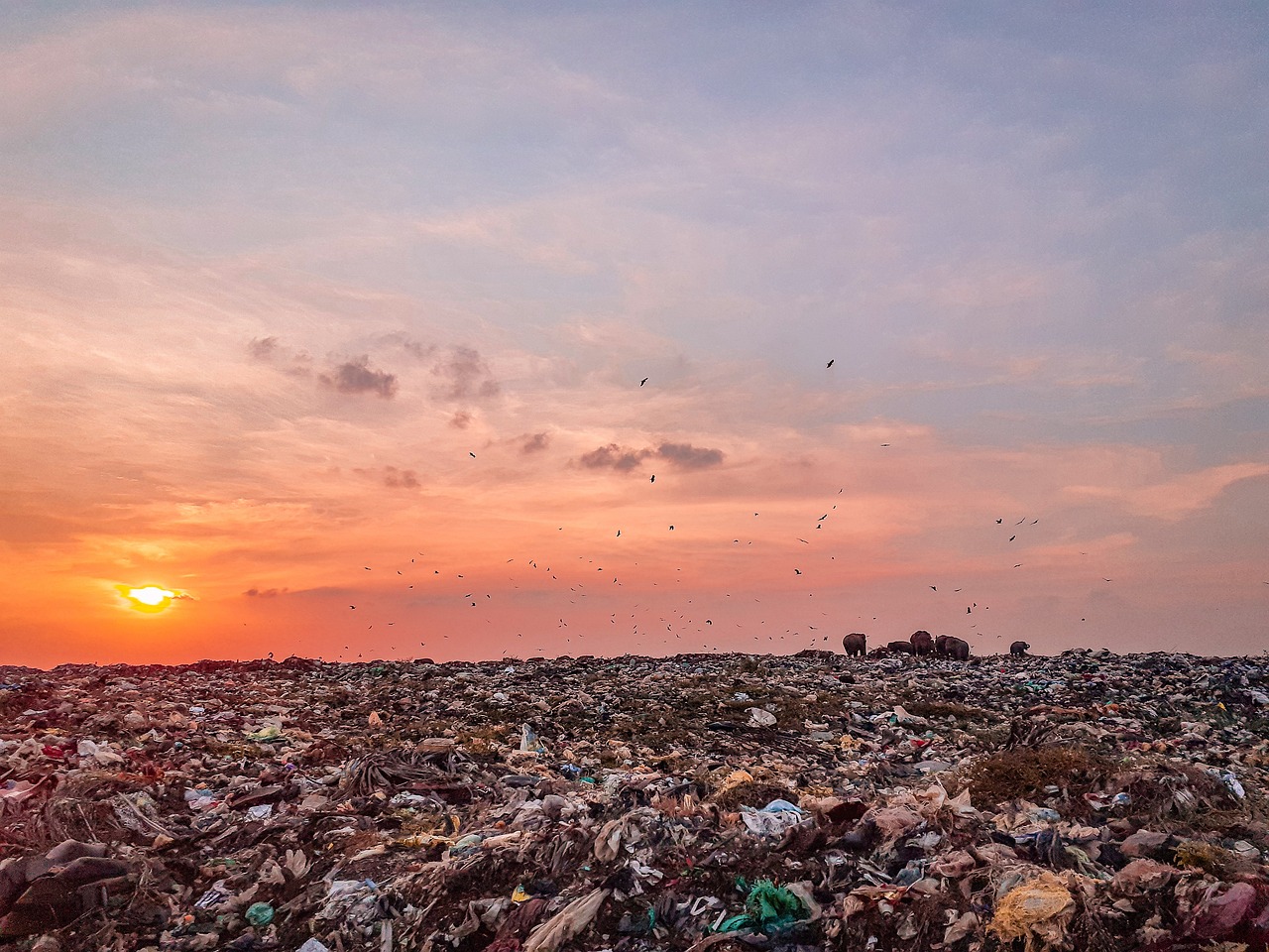 découvrez les enjeux de la pollution sonore, ses impacts sur la santé et l'environnement, ainsi que des solutions pour réduire ce fléau dans notre quotidien.