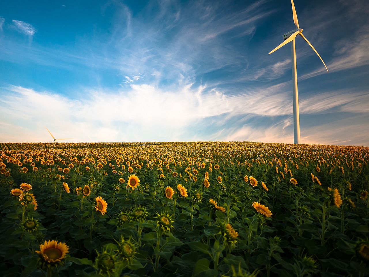 découvrez les sources d'énergie renouvelables, leur impact sur l'environnement et comment elles transforment notre avenir énergétique. apprenez-en plus sur l'énergie solaire, éolienne, hydraulique et géothermique pour un monde plus durable.