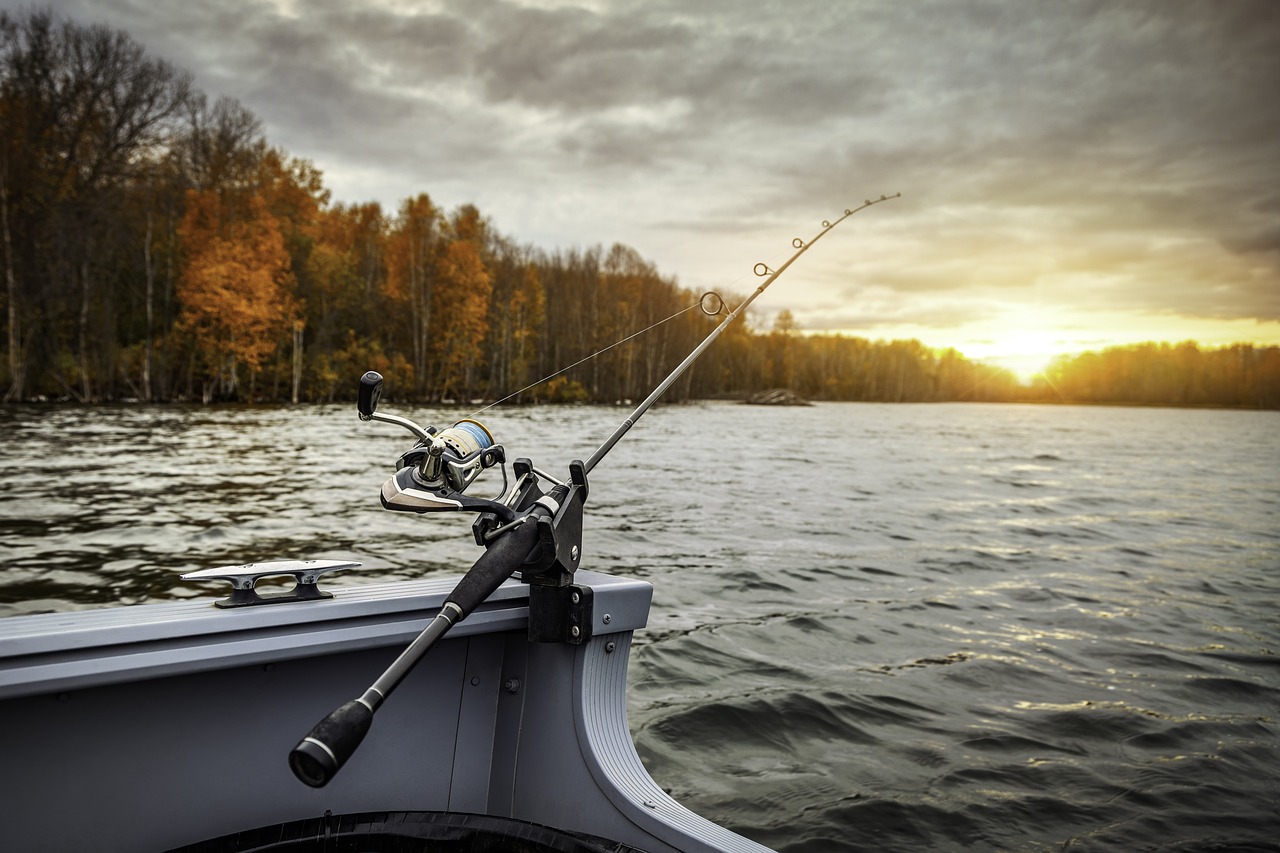 découvrez les pratiques de la pêche durable, qui protègent nos écosystèmes marins tout en garantissant un approvisionnement responsable en ressources halieutiques. adoptez des méthodes respectueuses de l'environnement et participez à la préservation de nos océans.