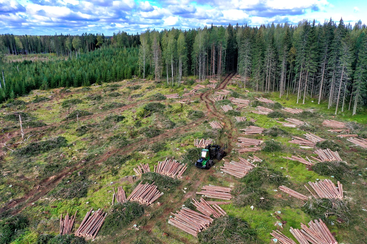 découvrez l'importance de la foresterie durable pour préserver nos écosystèmes, soutenir la biodiversité et garantir l'approvisionnement en ressources forestières. informez-vous sur les pratiques écologiques, les certifications et les initiatives qui favorisent la gestion responsable des forêts pour un avenir plus vert.