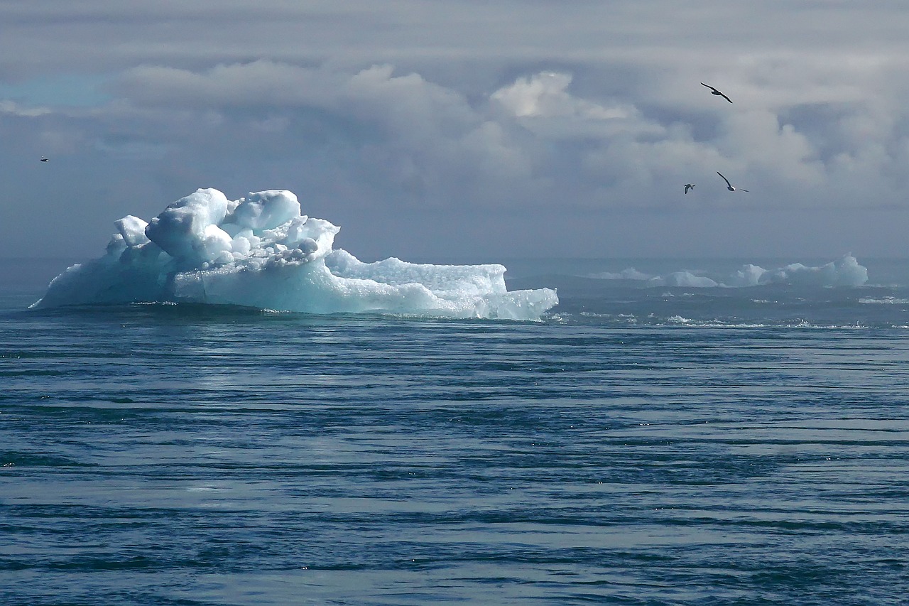 découvrez les enjeux du déni climatique, un phénomène croissant qui remet en question les faits scientifiques sur le changement climatique. explorez les conséquences sur l'environnement, la société et les mesures à prendre pour contrer cette problématique.