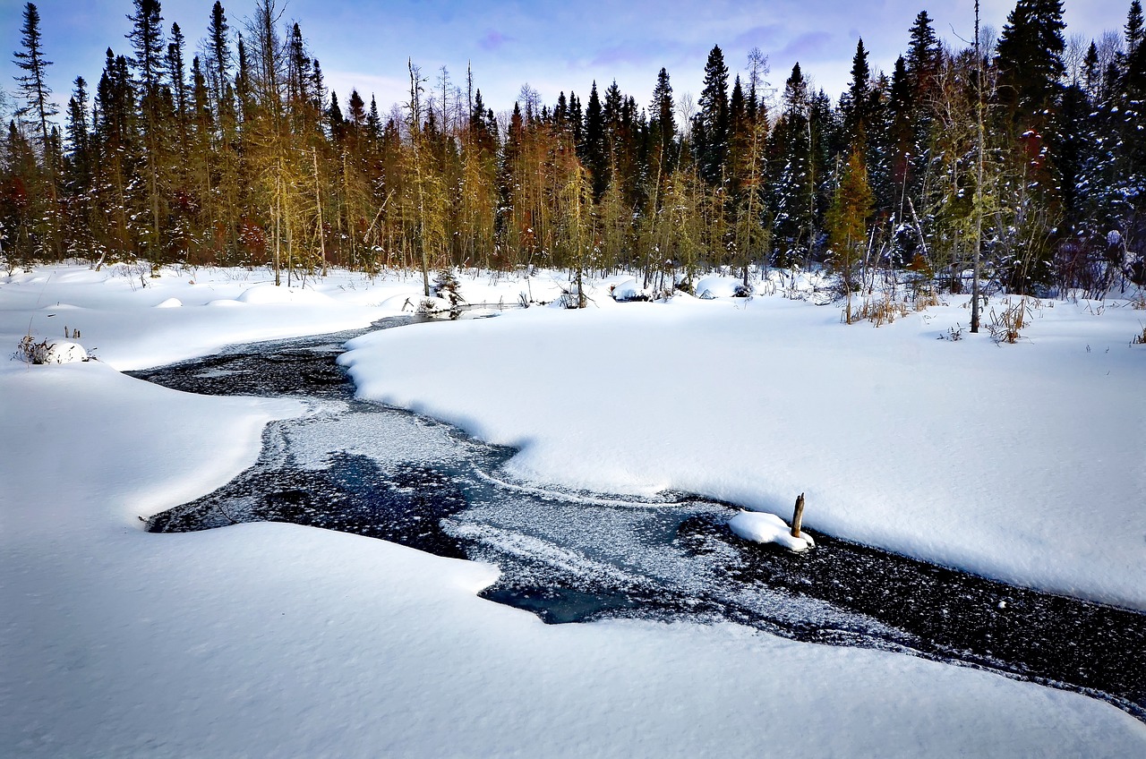 découvrez la richesse et la diversité des écosystèmes, des systèmes naturels complexes qui soutiennent la vie sur terre. apprenez comment ces interconnexions entre espèces et environnements jouent un rôle essentiel dans l'équilibre écologique et la durabilité de notre planète.