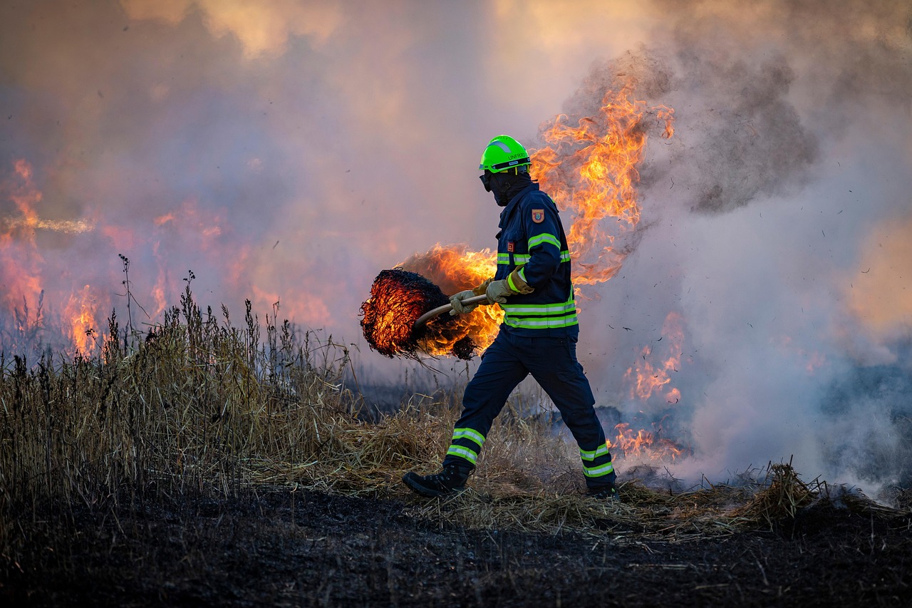 découvrez des méthodes efficaces pour prévenir les incendies de forêt. apprenez des stratégies essentielles, des conseils pratiques et des ressources pour protéger votre environnement et réduire les risques d'incendies.