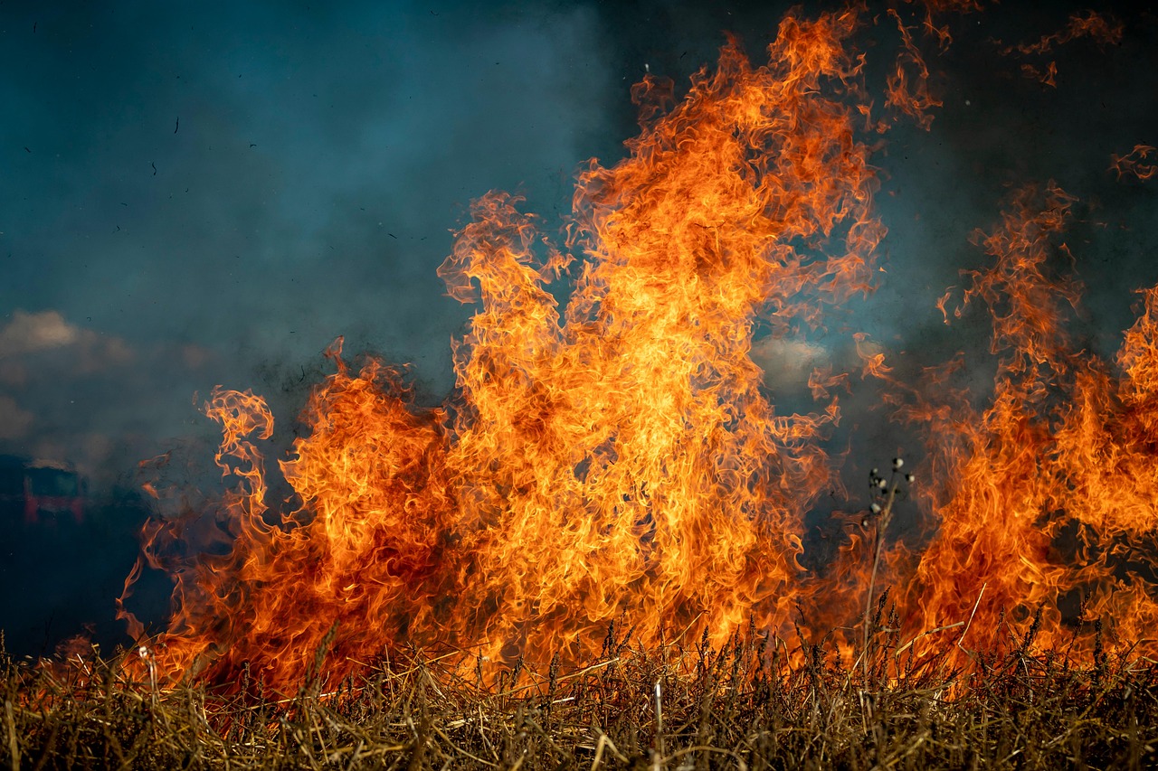 découvrez des stratégies efficaces pour la prévention des incendies de forêt. apprenez comment protéger votre communauté, préserver la nature et minimiser les risques grâce à des actions concrètes et des conseils pratiques.