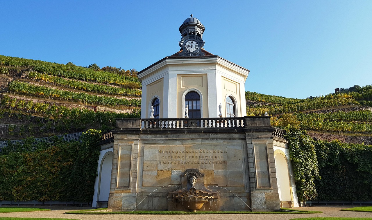 découvrez l'univers passionnant des vinificateurs, où l'art de créer des vins d'exception se mêle à des traditions ancestrales. plongez dans le processus de vinification, explorez des techniques innovantes et apprenez à apprécier chaque gorgée de ces nectars raffinés.