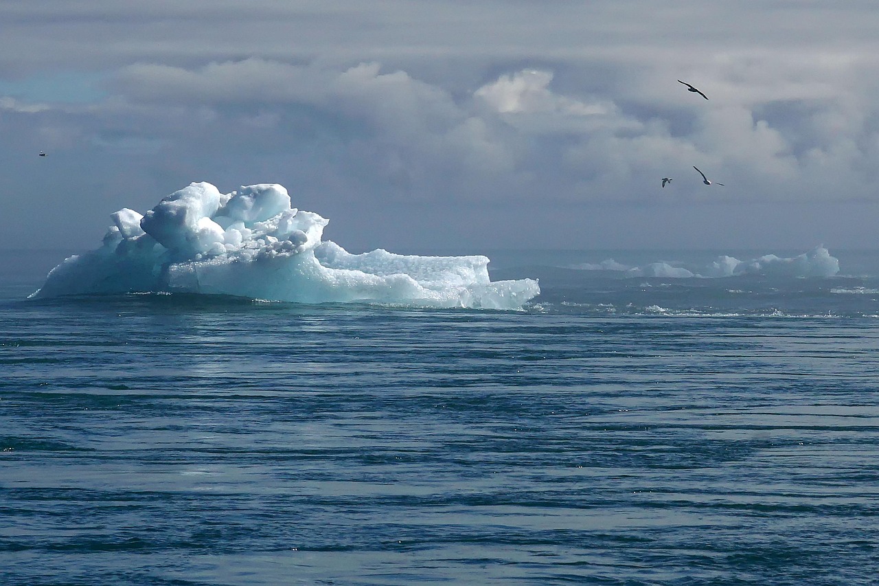 découvrez les différentes perspectives sur le skepticism climatique, une approche qui remet en question les consensus scientifiques sur le changement climatique. analysez les arguments des sceptiques et explorez l'impact de ces croyances sur les politiques environnementales et la société.