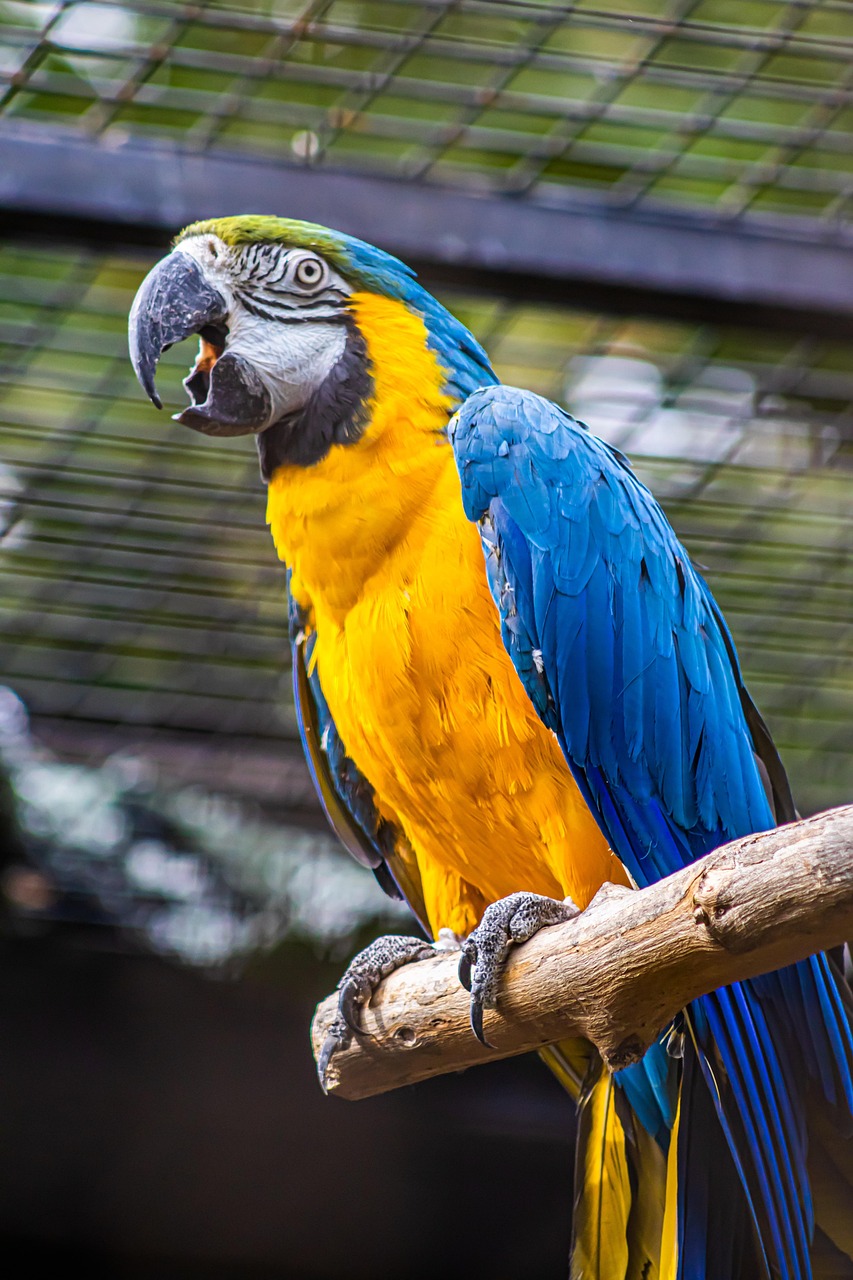 découvrez la beauté et la diversité de la nature à travers des paysages époustouflants, une faune fascinante et des écosystèmes riches. explorez des conseils pour préserver notre environnement et vivre en harmonie avec notre planète.
