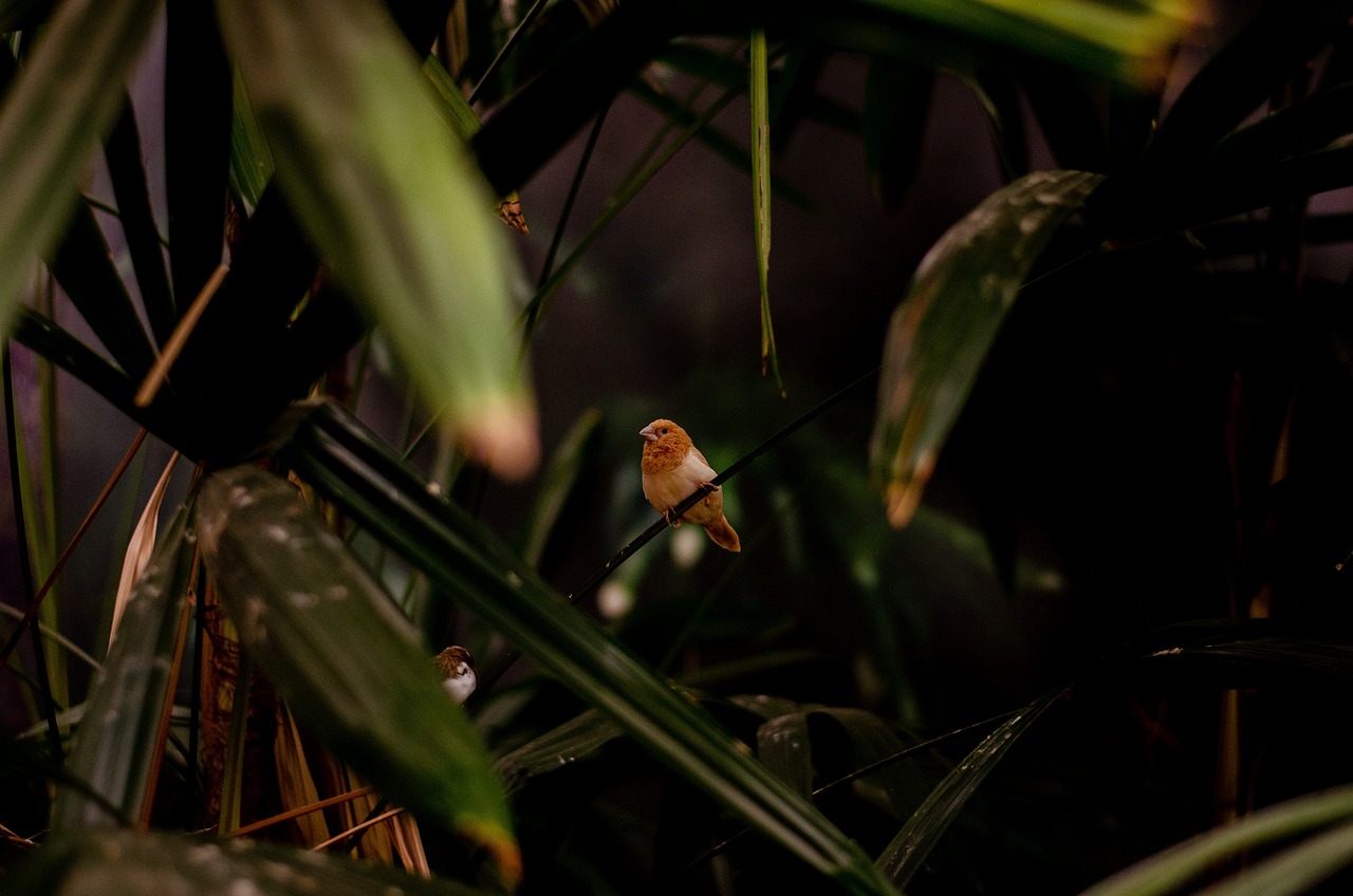 découvrez comment préserver notre habitat naturel pour un avenir durable. explorez des conseils et des stratégies pour protéger la biodiversité, les écosystèmes et maintenir l'équilibre de notre environnement.
