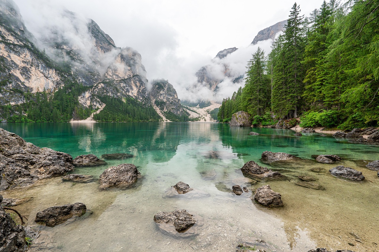découvrez la beauté fascinante de la nature : paysages époustouflants, biodiversité riche et harmonie des écosystèmes. explorez nos articles pour vous inspirer à préserver notre planète.
