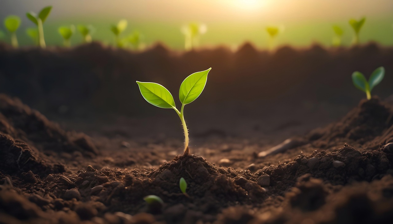la dégradation des sols par l'érosion menace notre environnement et l'agriculture. découvrez les causes, les conséquences et les solutions pour préserver nos terres et garantir une agriculture durable.