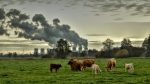 découvrez des actions concrètes pour lutter contre le changement climatique. engagez-vous pour un avenir durable en explorant des solutions innovantes pour protéger notre planète.