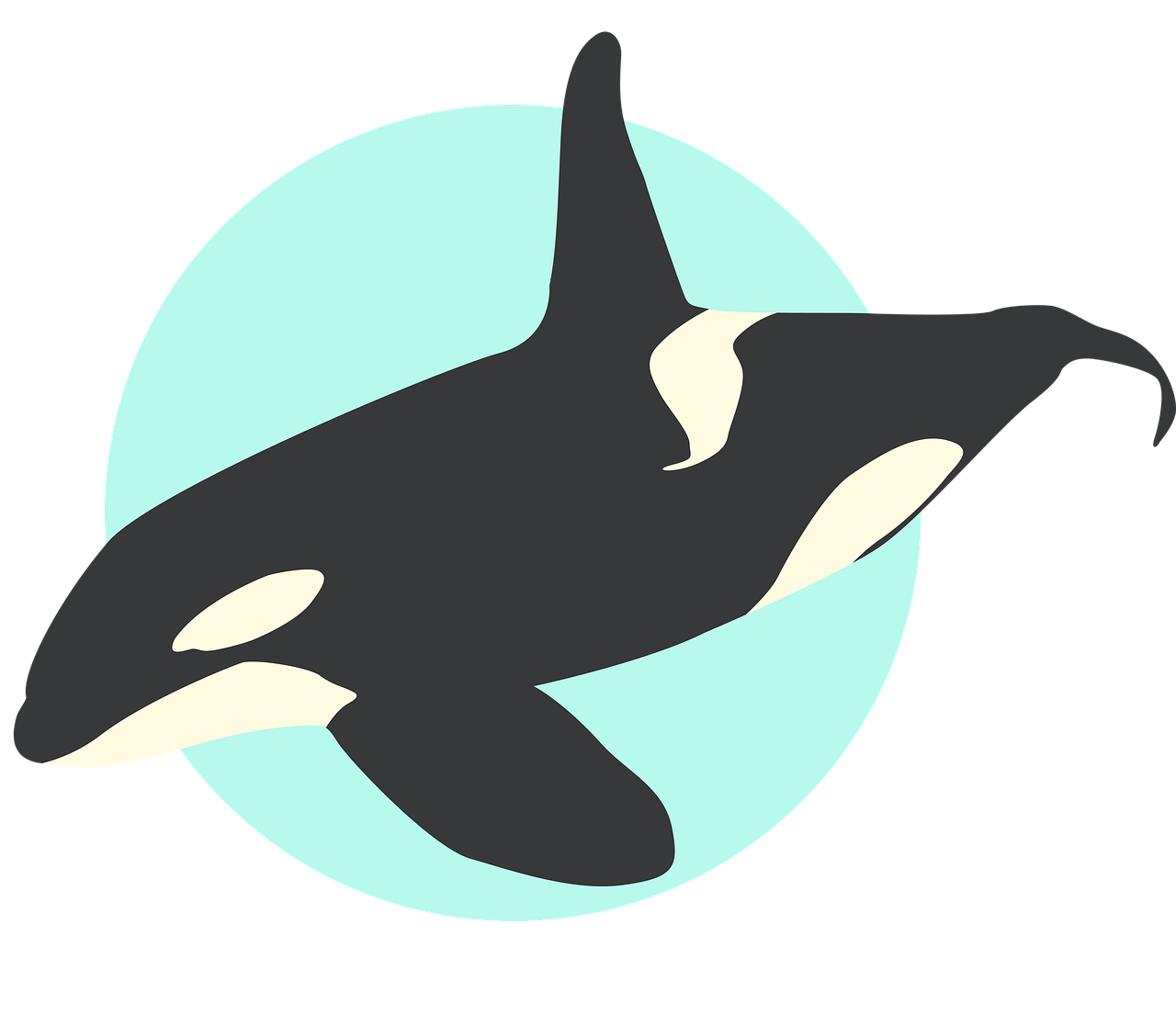 découvrez la richesse exceptionnelle de la biodiversité marine, un écosystème vital menacé par les activités humaines. explorez les espèces marines, leur habitat et l'importance de leur préservation pour l'équilibre de notre planète.