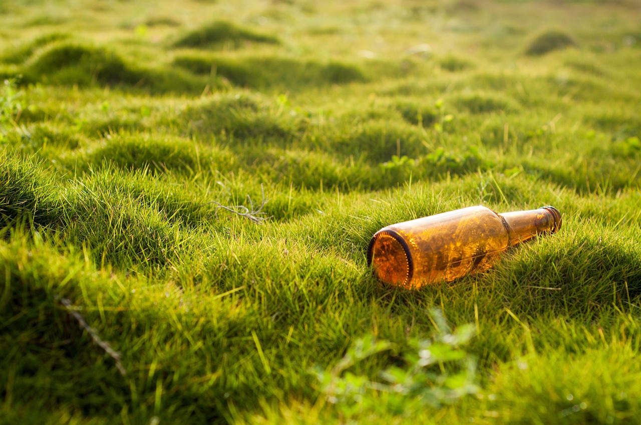 découvrez les droits environnementaux, leur importance pour la protection de notre planète et comment chaque individu peut contribuer à un avenir durable. informez-vous sur les enjeux écologiques et les actions à entreprendre pour défendre notre environnement.