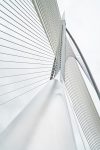 découvrez l'infrastructure verte, une approche innovante qui intègre la nature dans la planification urbaine pour améliorer la qualité de vie, réduire les impacts environnementaux et favoriser la biodiversité. apprenez comment ces solutions durables transforment les villes en espaces plus sains et résilients.