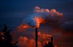 découvrez les causes et les conséquences de la pollution des océans. explorez des solutions innovantes pour préserver notre planète bleue et protéger la vie marine.