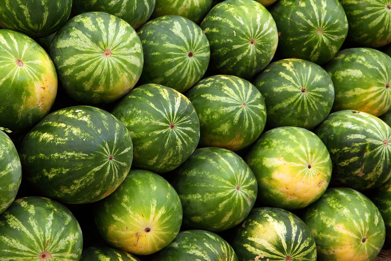 découvrez les tendances et les évolutions des marchés agricoles : analyse des prix, impact des politiques agricoles et perspectives d'avenir pour les producteurs et les consommateurs.