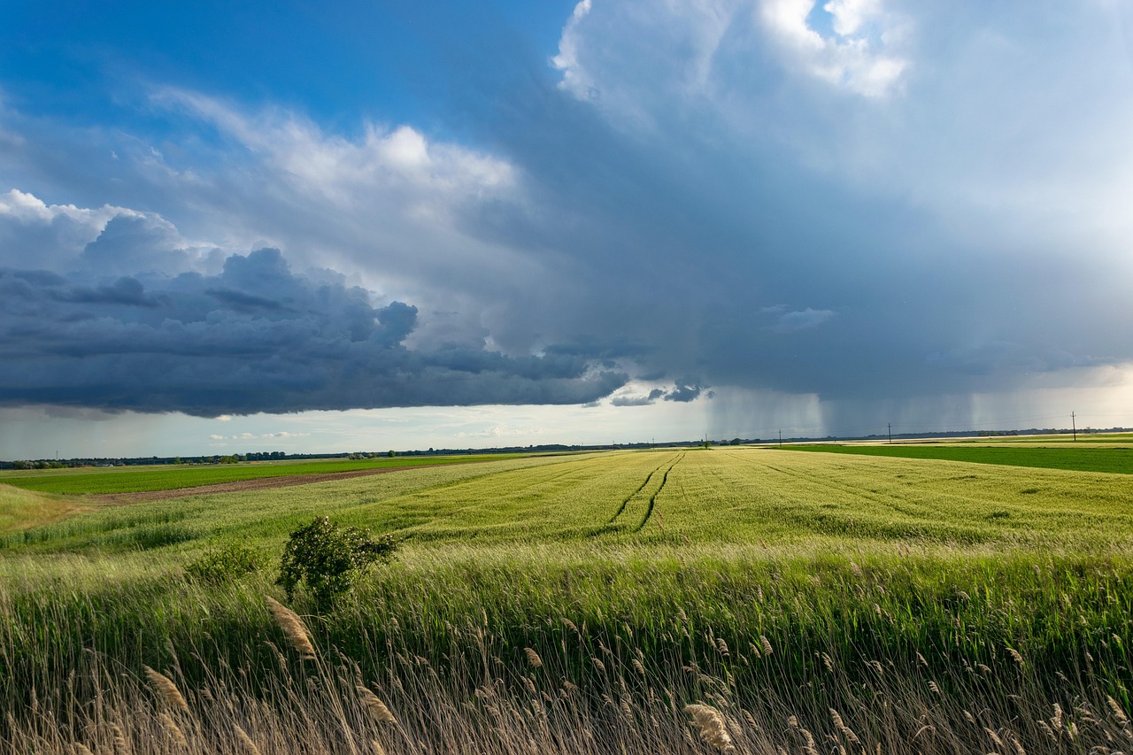 découvrez comment la technologie révolutionne l'agriculture moderne, améliore les récoltes, optimise les ressources et favorise une production durable. explorez les innovations qui transforment le secteur agricole.