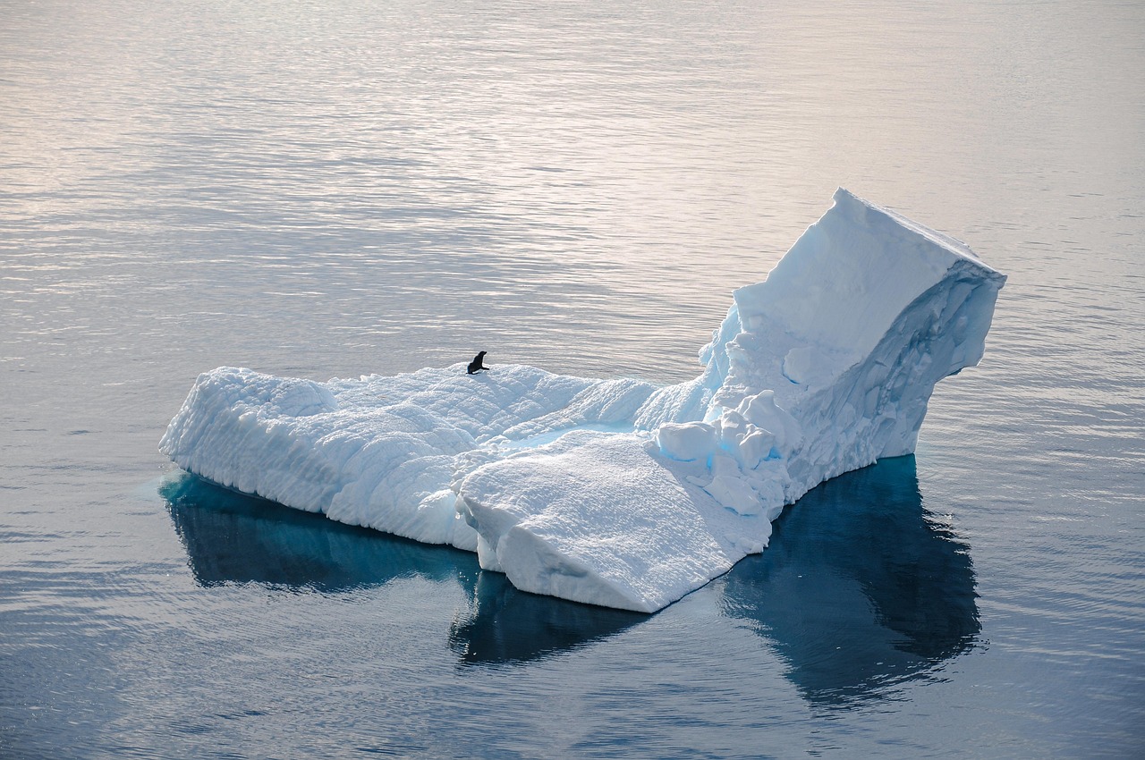 découvrez l'antarctique, un continent mystérieux et fascinant, où la beauté des paysages glaciaires rencontre une biodiversité unique. explorez la faune remarquable, les recherches scientifiques pionnières et les défis environnementaux de cette région reculée.