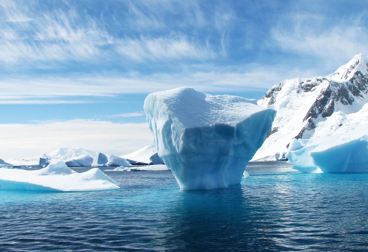 découvrez l'arctique, un territoire fascinant aux paysages majestueux et à la faune unique. explorez ses glaciers, ses aurores boréales et les merveilles naturelles qui font de cette région froide un véritable trésor à préserver.