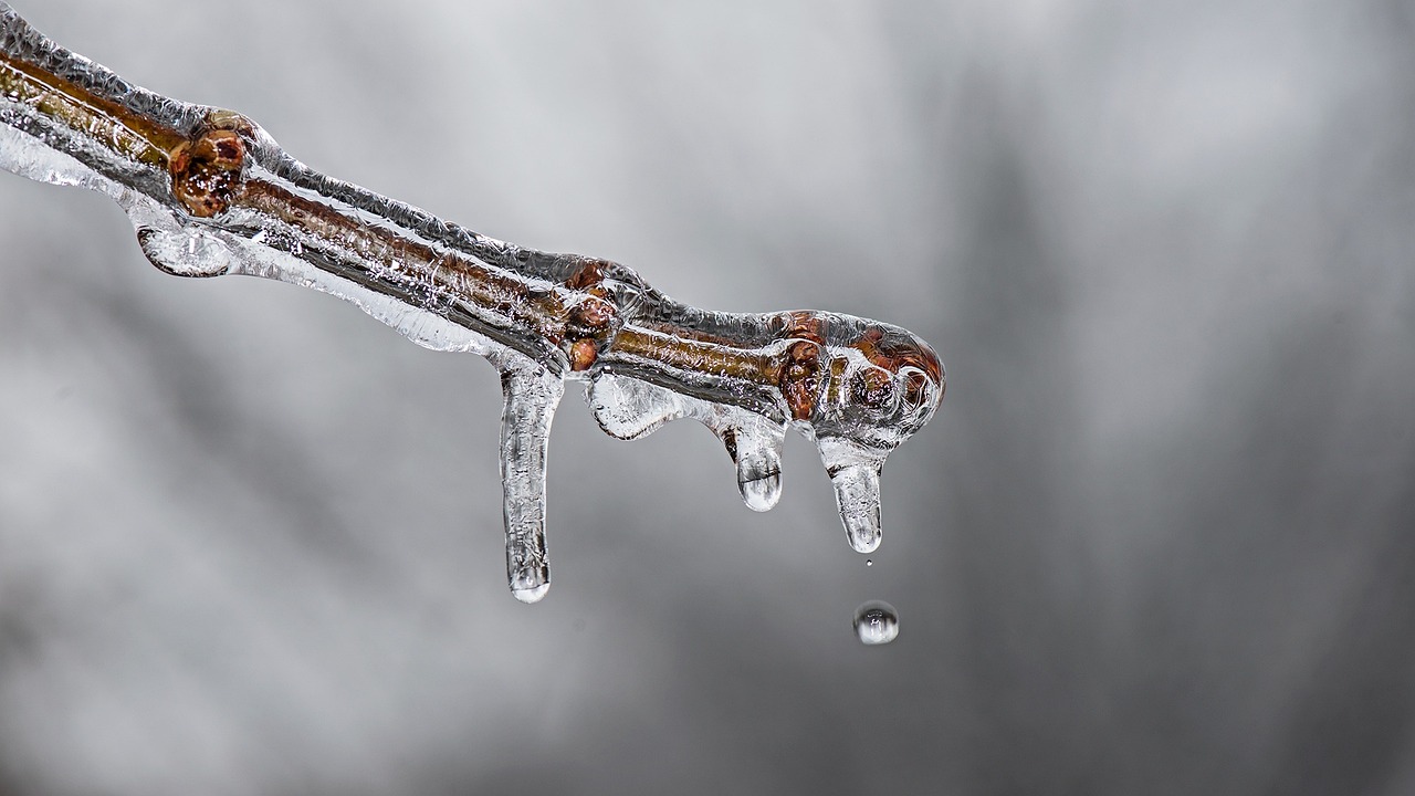 découvrez les dernières avancées en matière de simulation climatique, un outil essentiel pour comprendre les impacts du changement climatique et anticiper l'avenir de notre planète. plongez dans un monde de données et de modèles qui éclairent les enjeux environnementaux actuels.