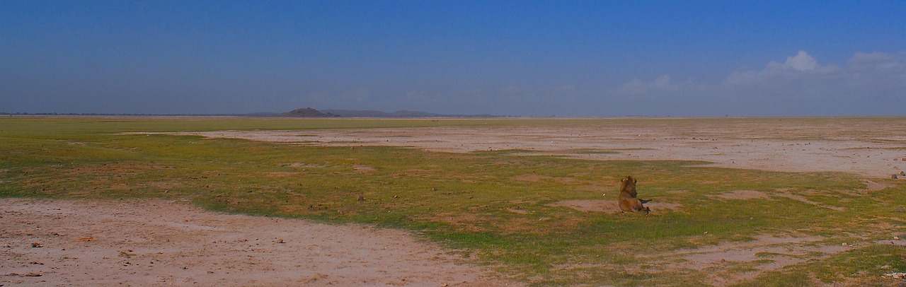 découvrez des solutions concrètes et des initiatives inspirantes pour lutter contre le changement climatique. rejoignez le mouvement pour une action climatique efficace et durable.