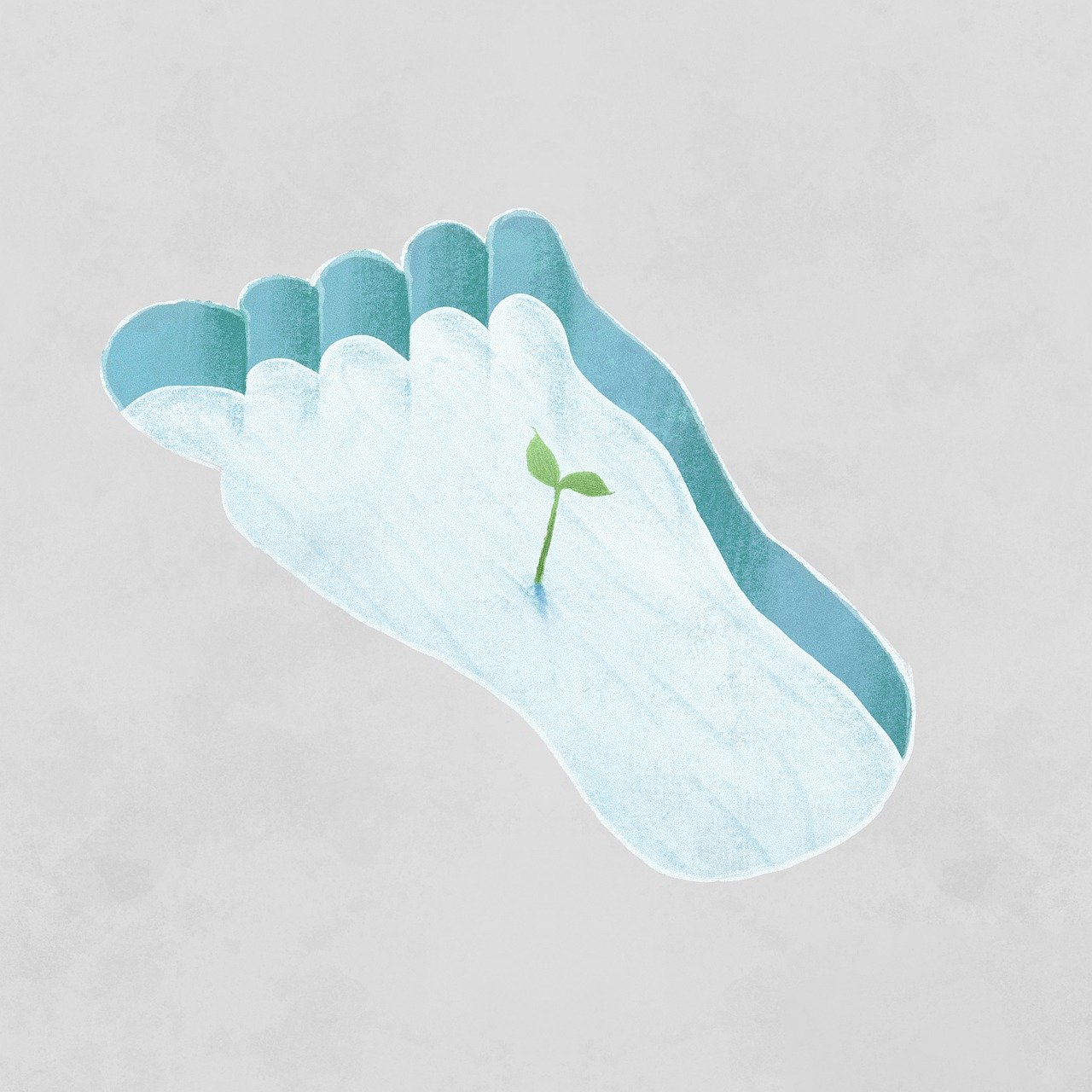 découvrez l'empreinte écologique, un indicateur clé de notre impact sur la planète. apprenez comment mesurer et réduire votre empreinte pour un avenir plus durable.