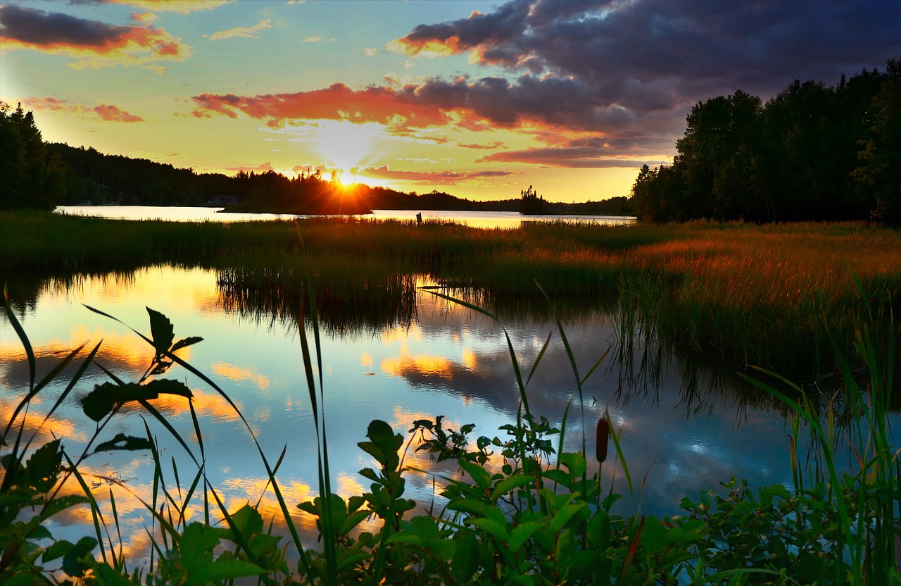 découvrez l'importance de la restauration des écosystèmes pour préserver notre biodiversité et lutter contre le changement climatique. apprenez les méthodes innovantes et les initiatives engagées qui redonnent vie aux habitats naturels, favorisant ainsi un avenir durable.